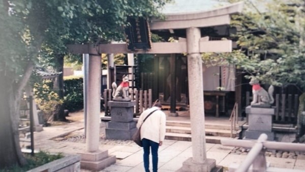 8300_rental%20family_tobiki%20inari%20shrine_0.jpg