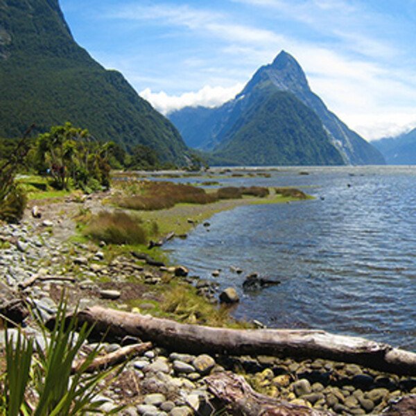 Movies and series filmed in New Zealand